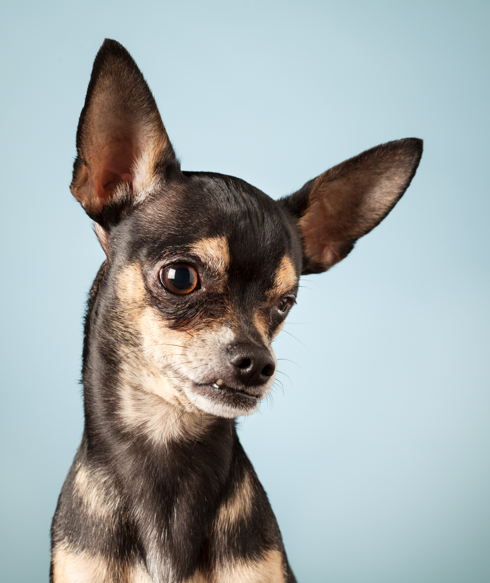 Dobbi-309-EmilyEdit_print