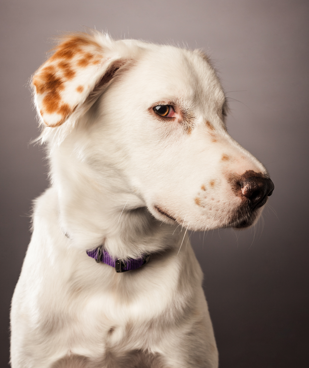 Fanta-193-EmilyEdit_print