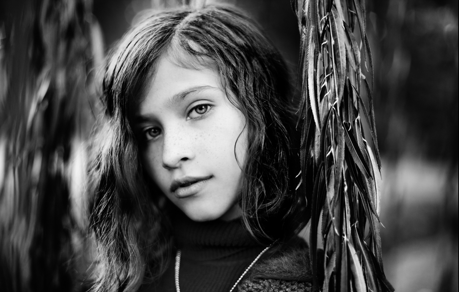 Jolie2-375_cyanotypeb_p